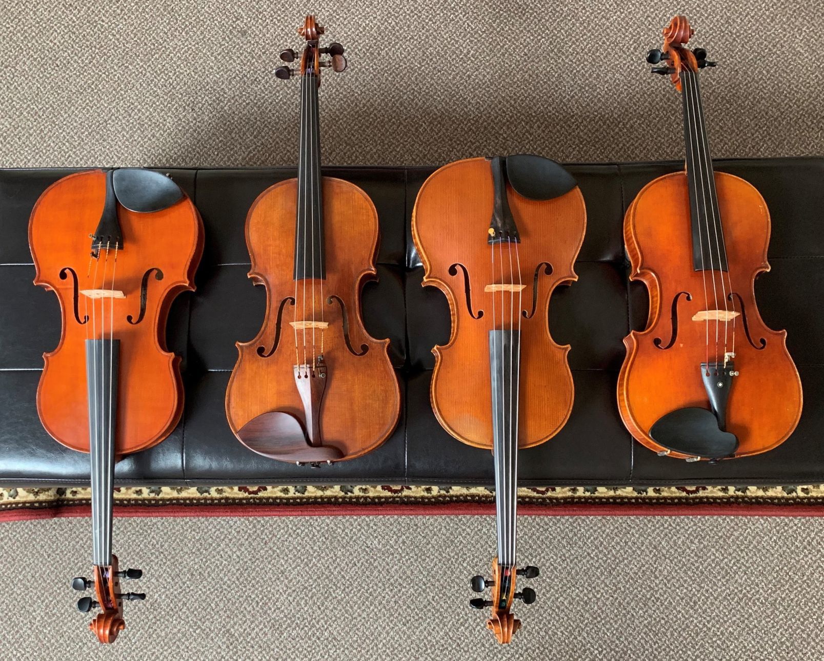 Violas